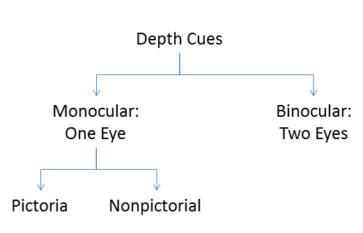 Outline of depth cues